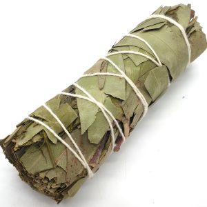 Fagot d eucalyptus purification