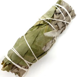 Sauge blanche et Eucalyptus purification