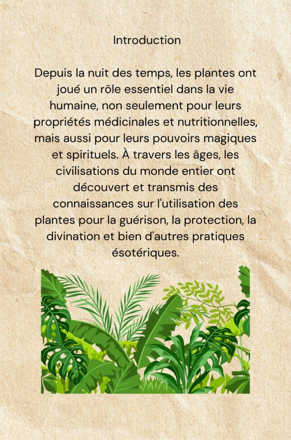 Le pouvoir magique des plantes: petit lexique de la magie des plantes – Image 2