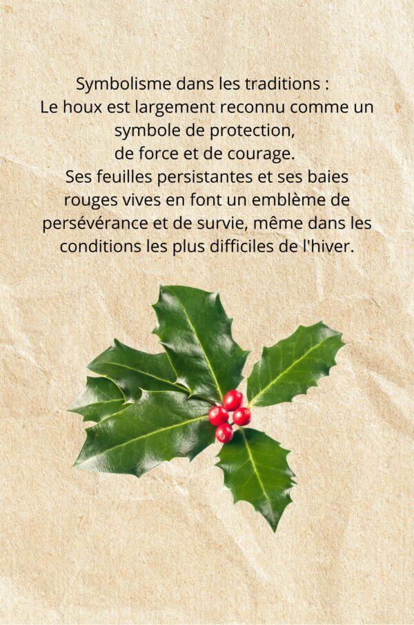 Le pouvoir magique des plantes: petit lexique de la magie des plantes Partie 2 – Image 2