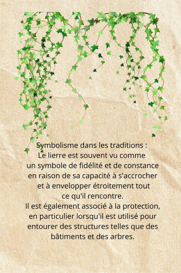 Le pouvoir magique des plantes: petit lexique de la magie des plantes Partie 2 – Image 3