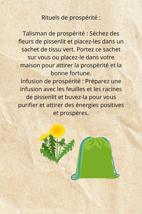 Le pouvoir magique des plantes: petit lexique de la magie des plantes Partie 2 – Image 5